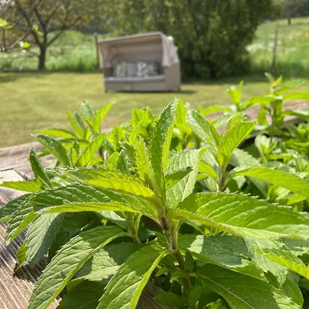 Maxhof Appartement Trèves