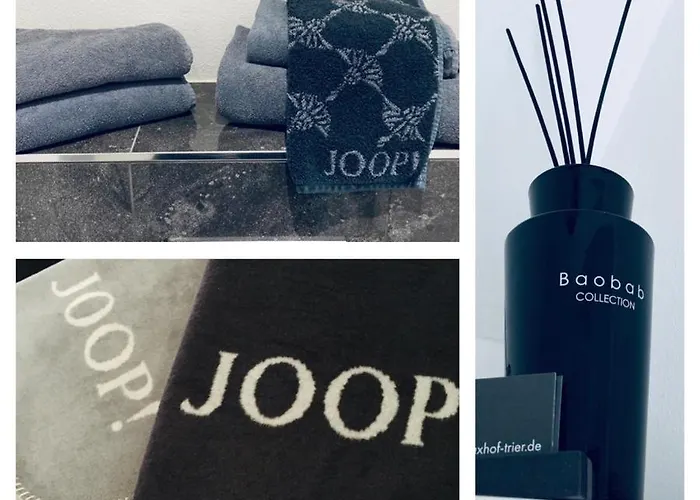 Maxhof Appartamento Treviri